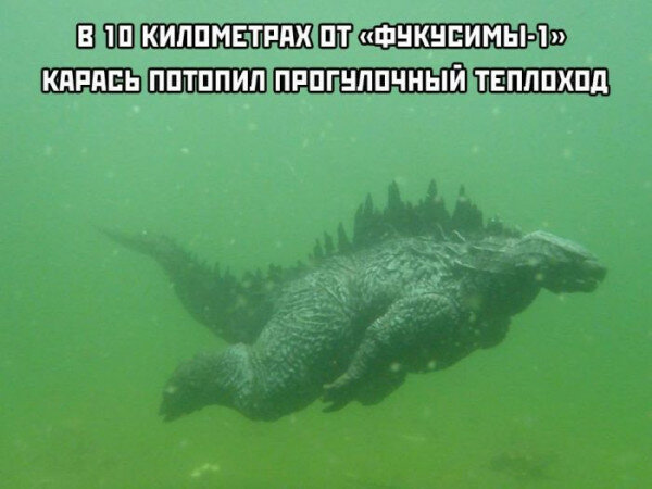 max_g480_c12_r4x3_pd20