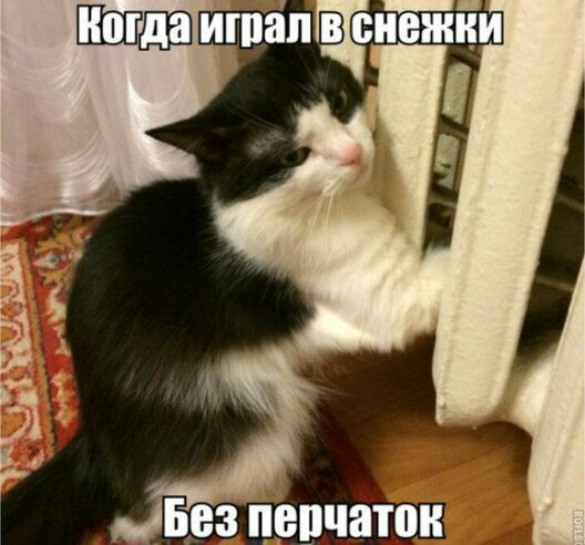 Посмеялся сам - поделись с другом!!!