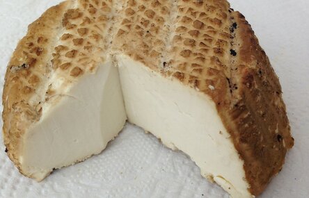 max_g480_c12_r4x3_pd10