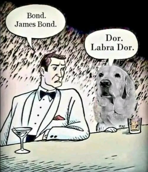 max_g480_c12_r3x4_pd20