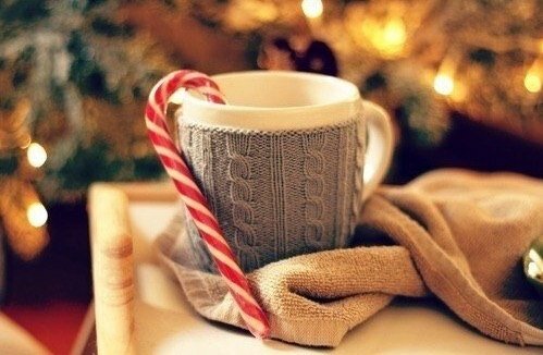 max_g480_c12_r4x3_pd20