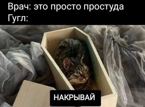 max_g480_c12_r4x3_pd20