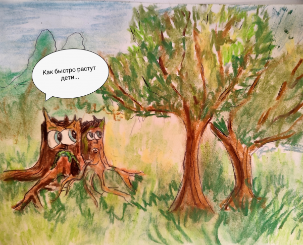 max_g480_c12_r4x3_pd20