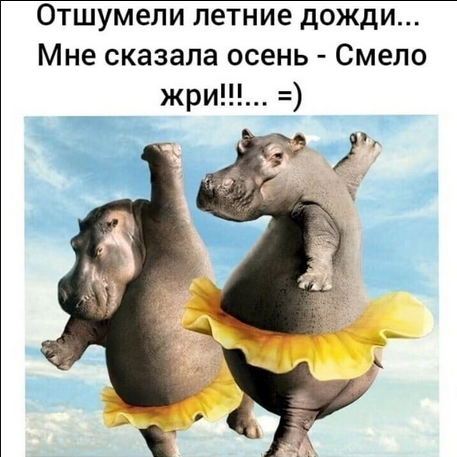 max_g480_c12_r1x1_pd20