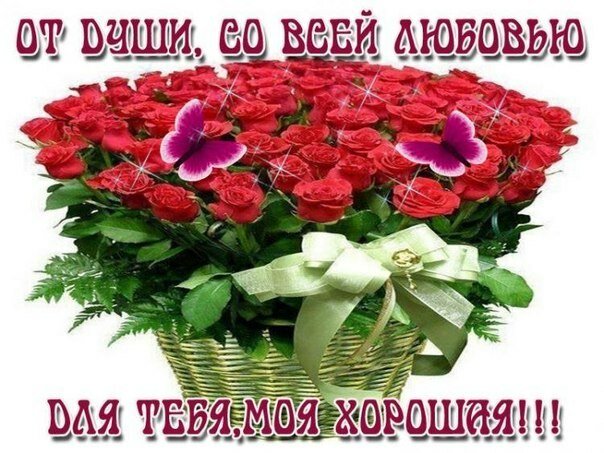 max_g480_c12_r4x3_pd20