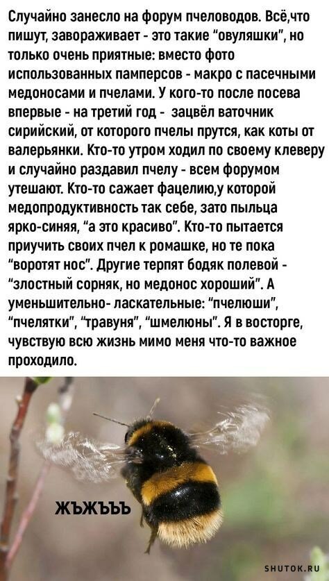 max_g360_c12_r2x3_pd20