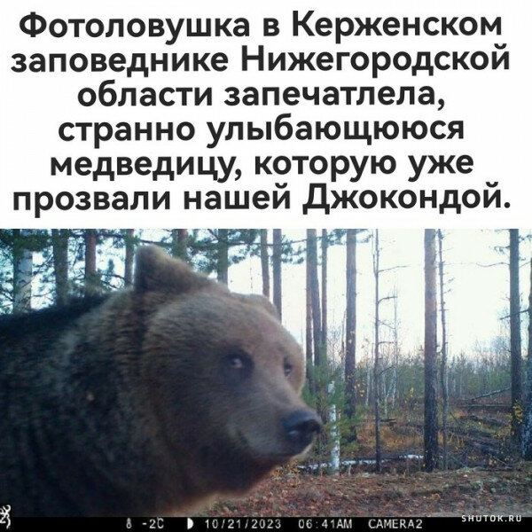 max_g480_c12_r1x1_pd20