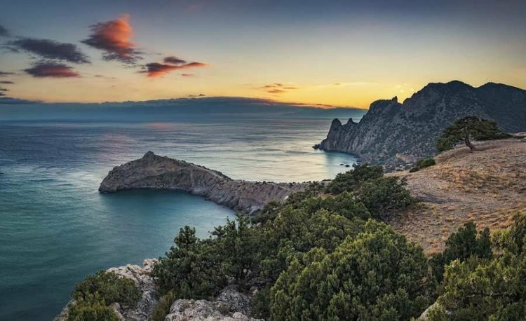 max_g480_c12_r4x3_pd20