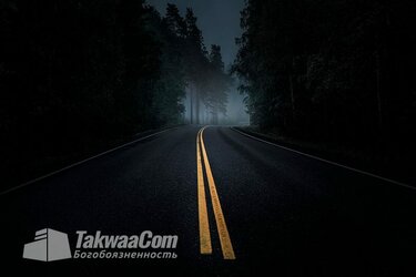 yandex.ru