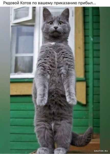 max_g480_c12_r3x4_pd20