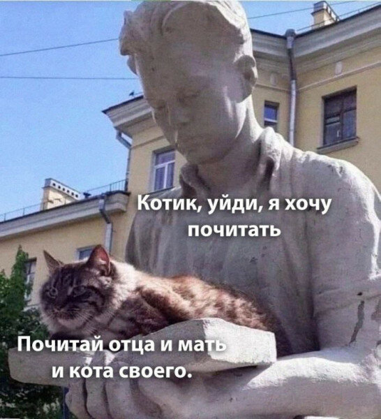 max_g480_c12_r3x4_pd20