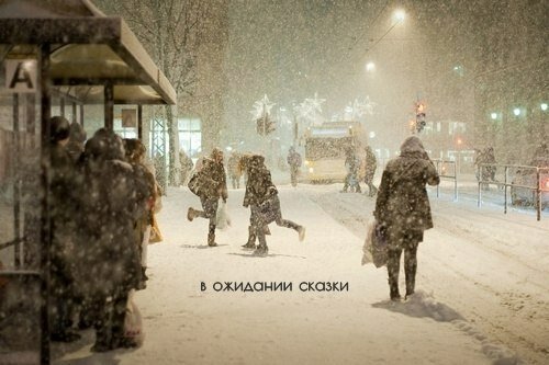 max_g480_c12_r4x3_pd20