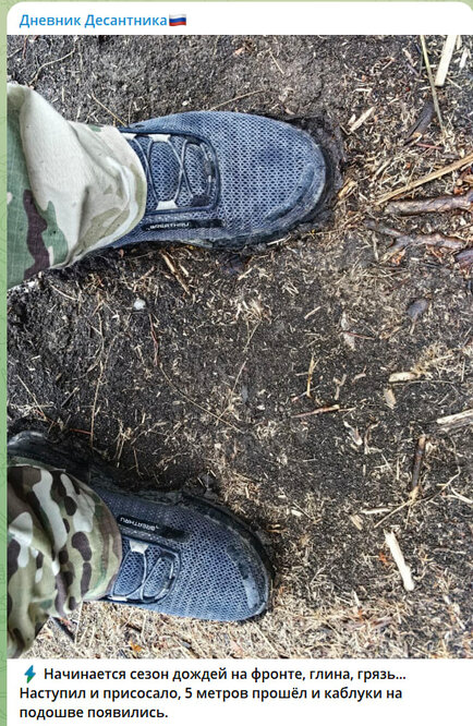 Новости Сегодня