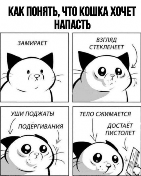 max_g480_c12_r3x4_pd20