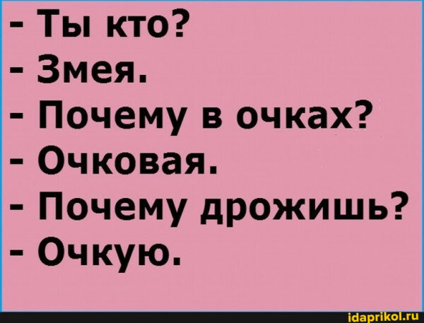 max_g480_c12_r4x3_pd20