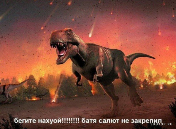 max_g480_c12_r4x3_pd20