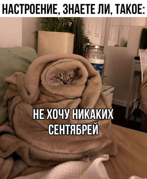 max_g480_c12_r3x4_pd20