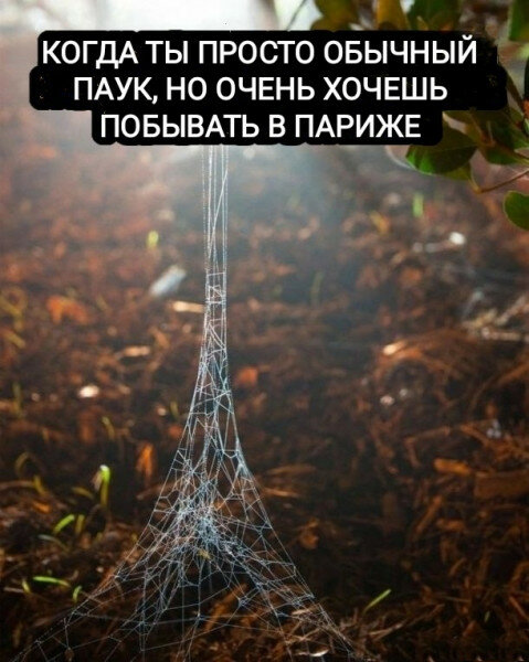 max_g480_c12_r3x4_pd20