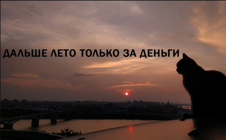 max_g480_c12_r4x3_pd20