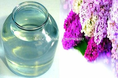 blog-altaimag-ru.turbopages.org