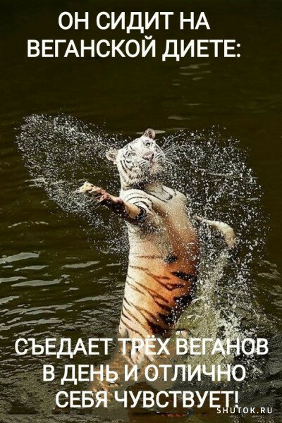 max_g480_c12_r2x3_pd20