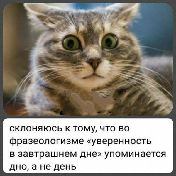 max_g480_c12_r1x1_pd20