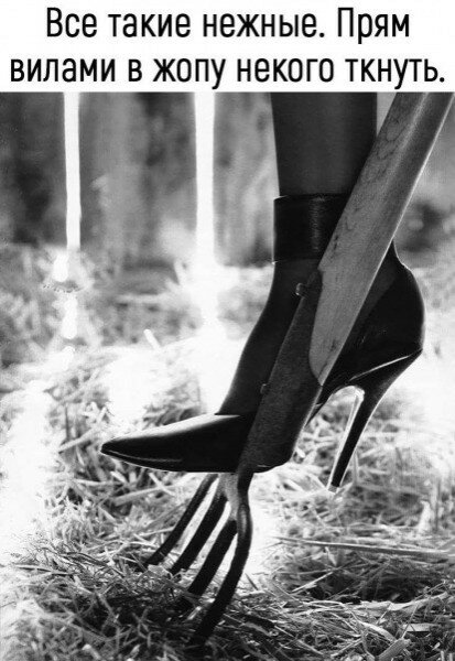 max_g480_c12_r3x4_pd20