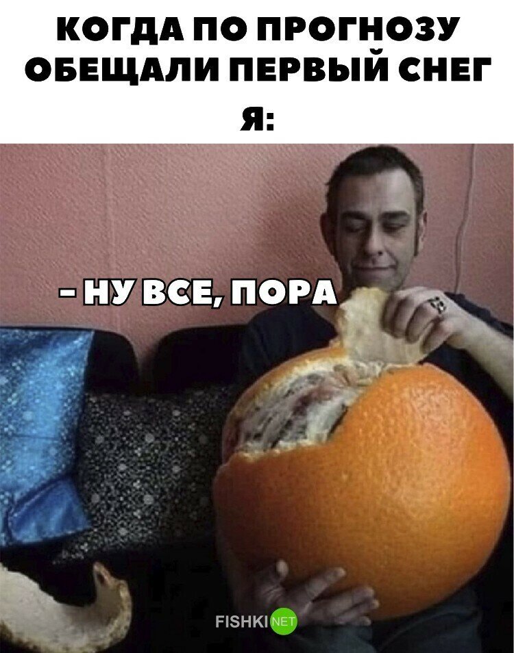 max_g480_c12_r2x3_pd20