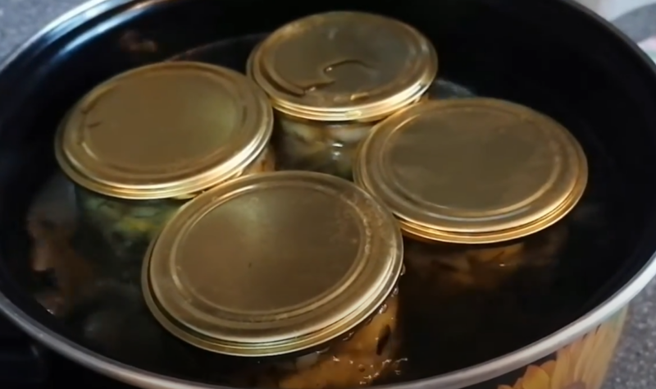 max_g360_c12_r4x3_pd20