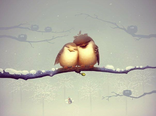 max_g480_c12_r4x3_pd20