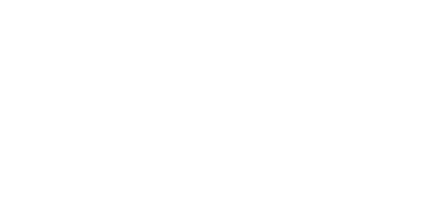 Логотип магазина Ника