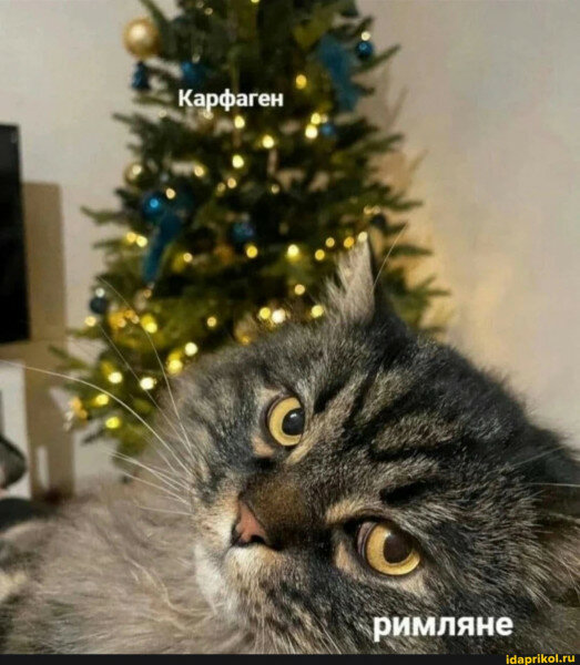 max_g480_c12_r3x4_pd20