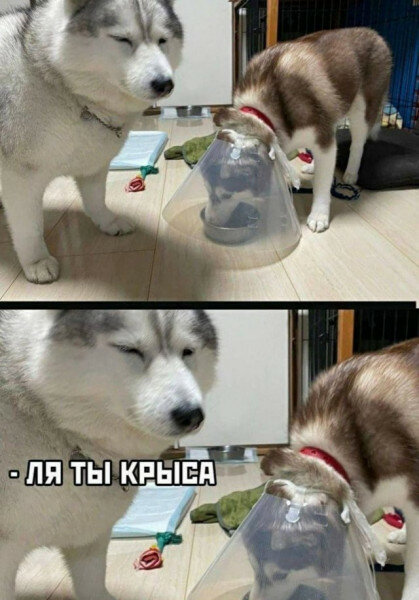 max_g480_c12_r3x4_pd20