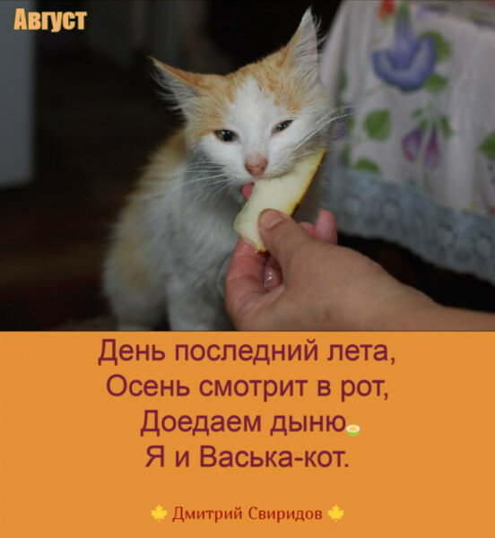 max_g480_c12_r3x4_pd20