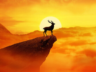 mk-ru.turbopages.org