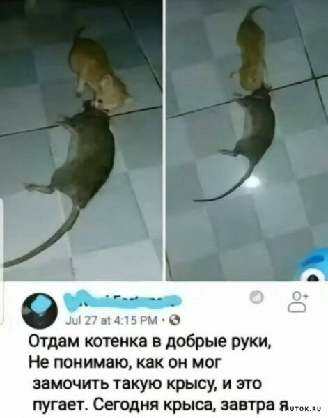 max_g480_c12_r3x4_pd20