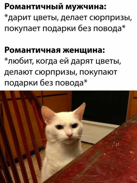 max_g480_c12_r3x4_pd20