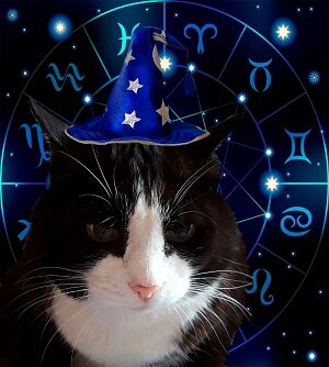 max_g360_c12_r3x4_pd20