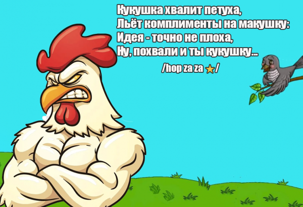 max_g480_c12_r4x3_pd20