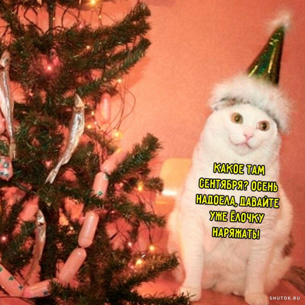 max_g480_c12_r1x1_pd20