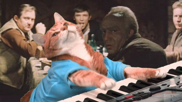 max_g480_c12_r16x9_pd20