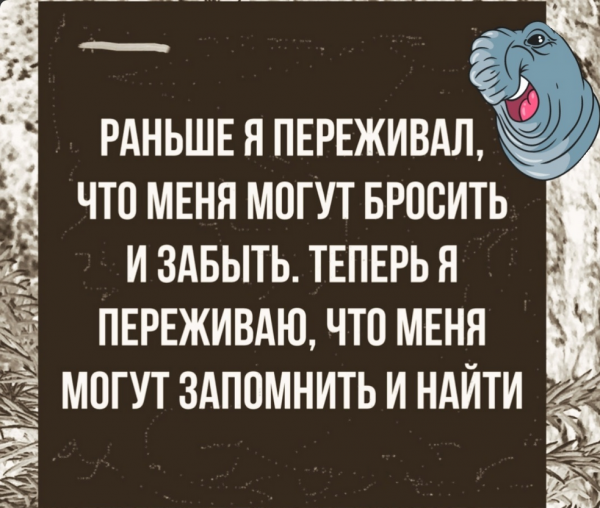 max_g480_c12_r4x3_pd20