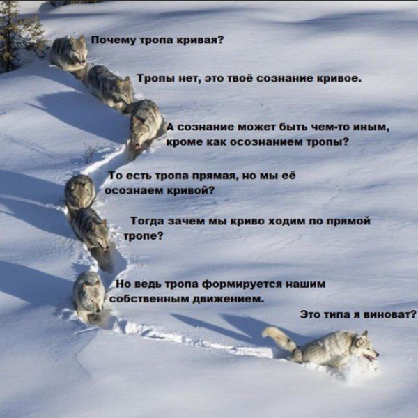 max_g480_c12_r1x1_pd20