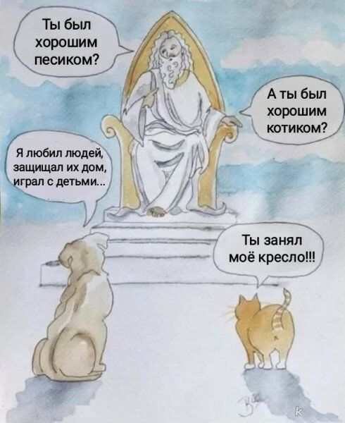 max_g480_c12_r3x4_pd20