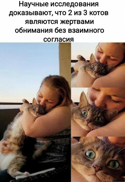 max_g480_c12_r3x4_pd20