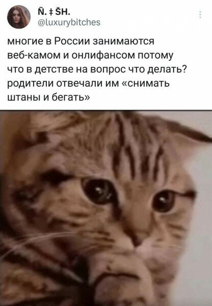 max_g480_c12_r3x4_pd20