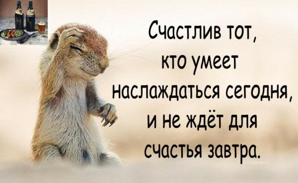 max_g480_c12_r4x3_pd20