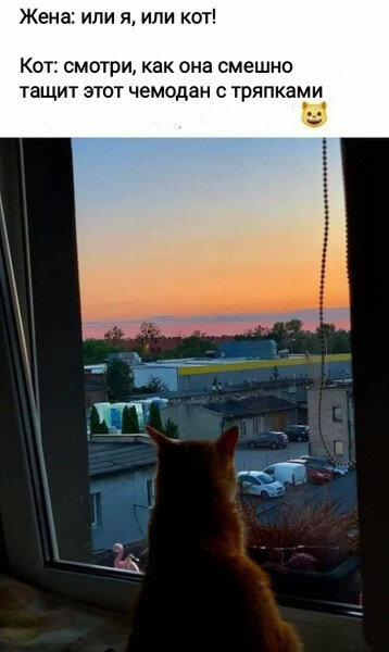 max_g480_c12_r2x3_pd20