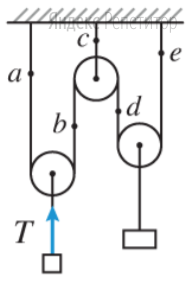 В системе невесомых блоков на нерастяжимых невесомых нитях закреплено ... груза.