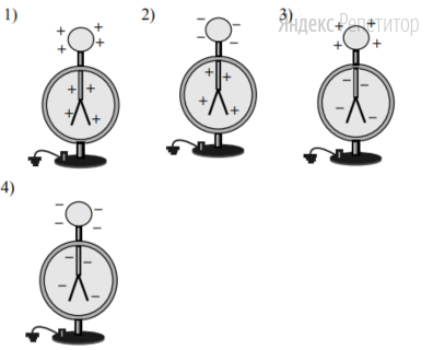 Распределение заряда в электроскопе при поднесении палочки правильно
показано на рисунке